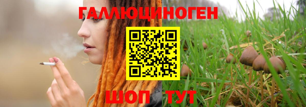 Галлюциногенные грибы Cubensis  Псилоцибиновые грибы ЛСД  Вход с VPN  Солнечногорск 
