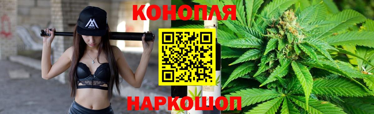 Бошки Шишки планчик Солнечногорск